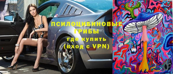 спайс Беломорск