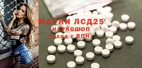 спайс Беломорск