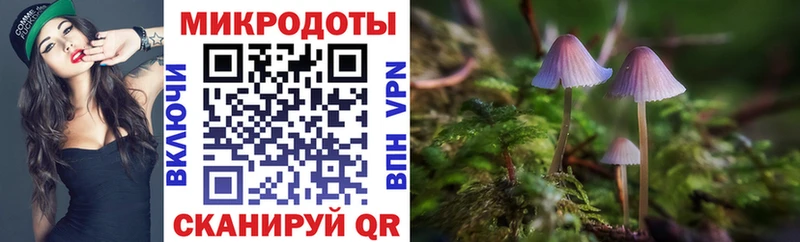 Галлюциногенные грибы Psilocybe  Купить закладки  Иваново 